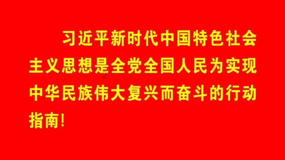 度假的时尚女孩